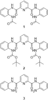 Influence of Terminal Functionality on the Crystal Packing Behaviour and Cytotoxicity of Aromatic Oligoamides